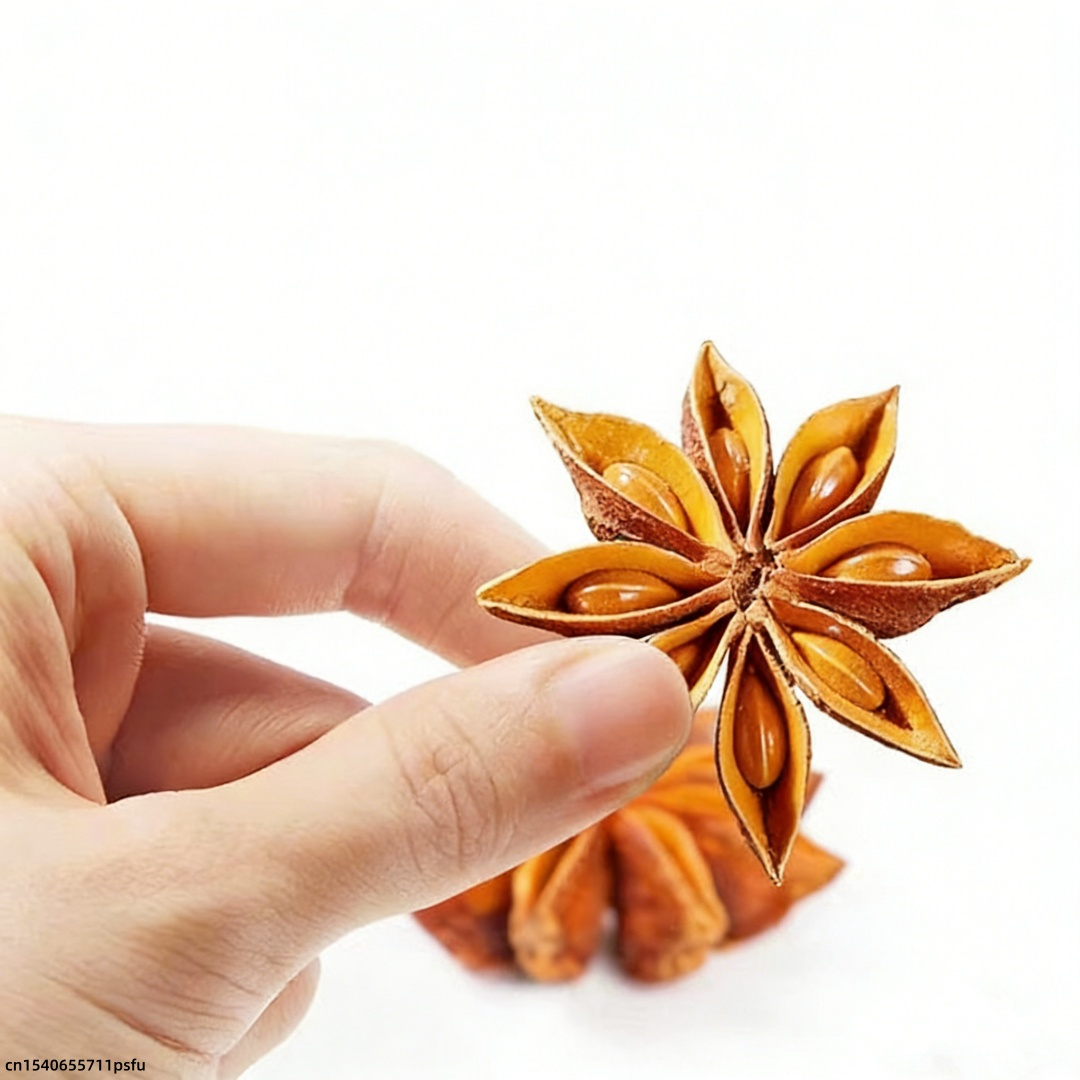 Premium Star Anise Dried Flowe - Candle Fragrance Supplies recensione e prezzo